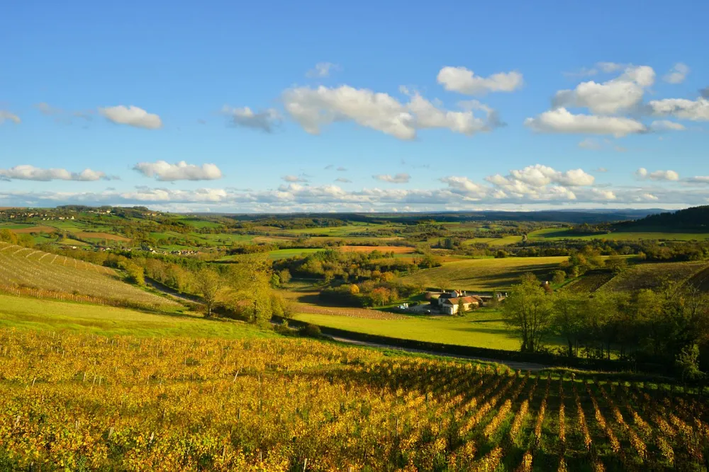Illustration du guide: Les pépites Bourgogne-Franche-Comté : Édition nature