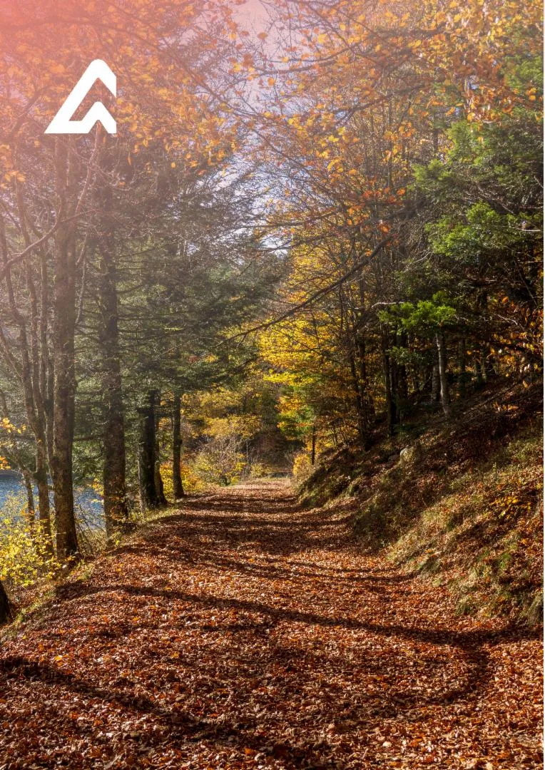 Illustration du guide: Top spots - Les Hautes Vosges en automne 🍁