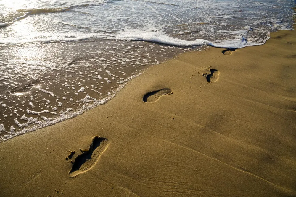 Illustration du guide: Les plages océanes de Biscarrosse
