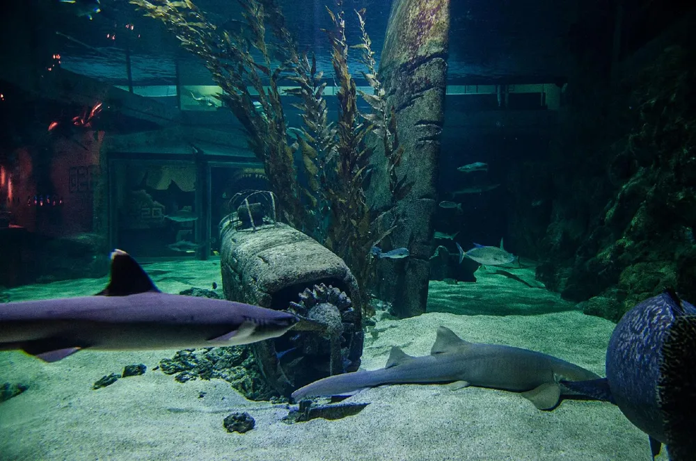 Illustration du guide: 8 activités originales à tester à Montpellier