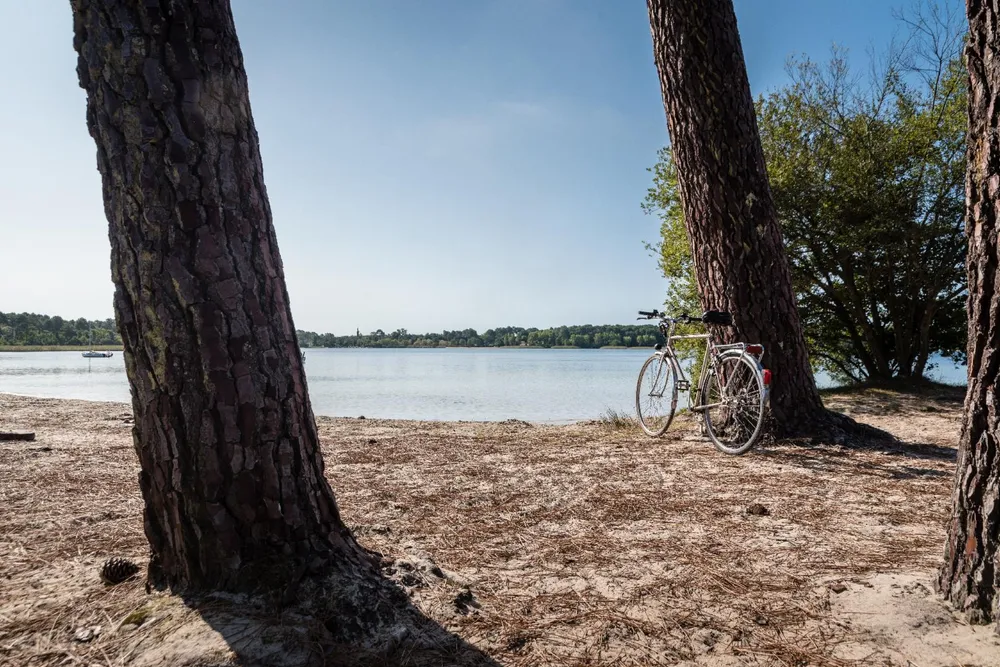 Image de couverture illustrant la destination Sanguinet