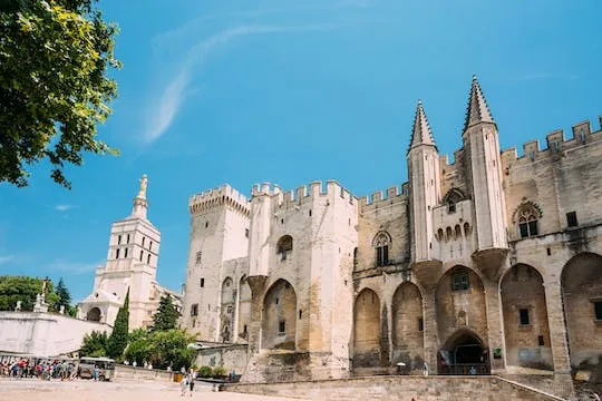 Image qui représente un ticket d'une activité (Billets d'entrée pour le palais des papes avec Histopad) liée au point d'intéret