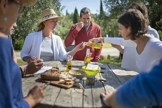 Image qui illustre: Visite des vins et de l'huile d'olive du Languedoc pour les petits groupes