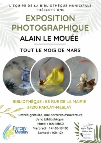 Image qui illustre: Exposition Photographique D'alain Le Mouée