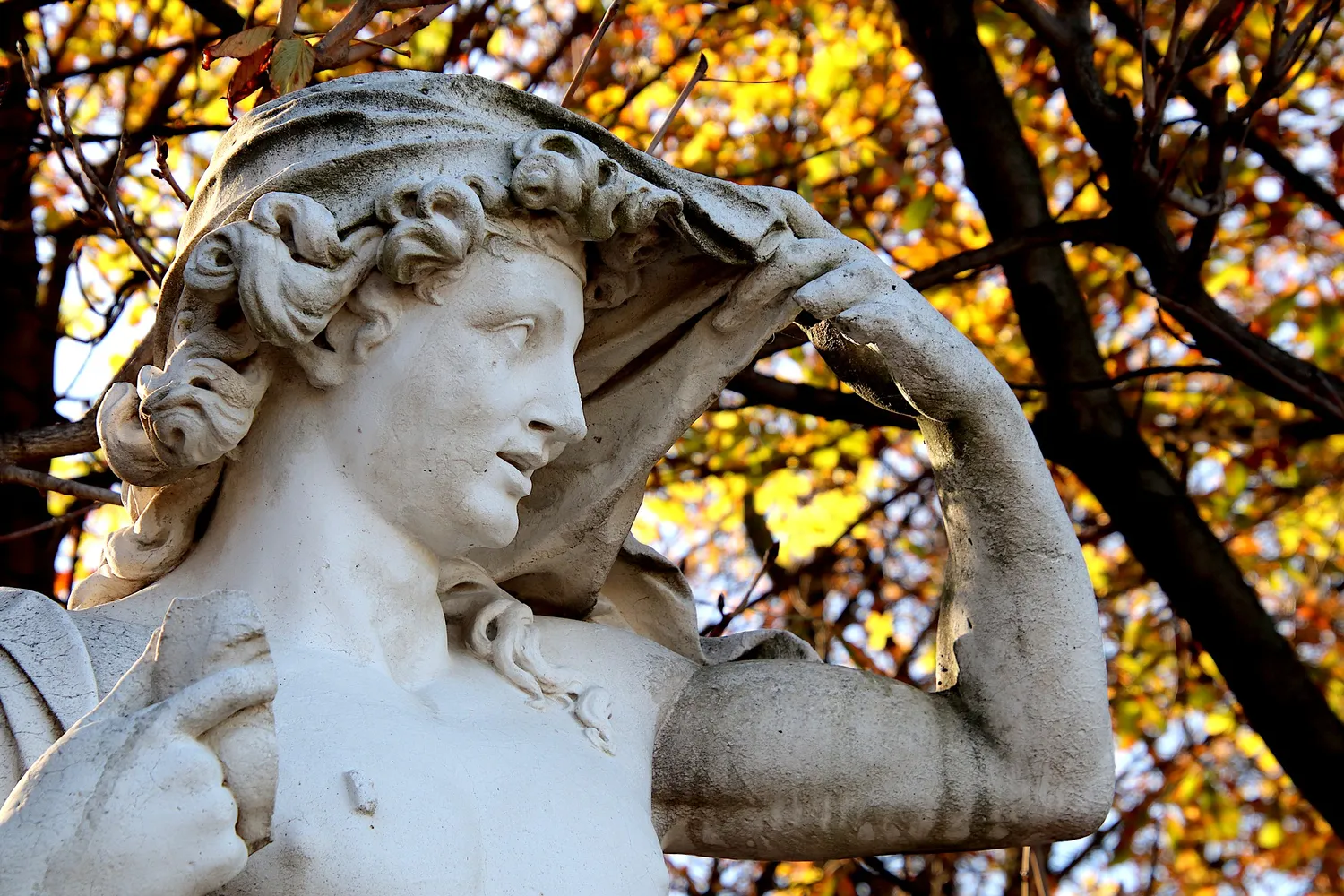 Image qui illustre: Jardin des Tuileries  à Paris - 2