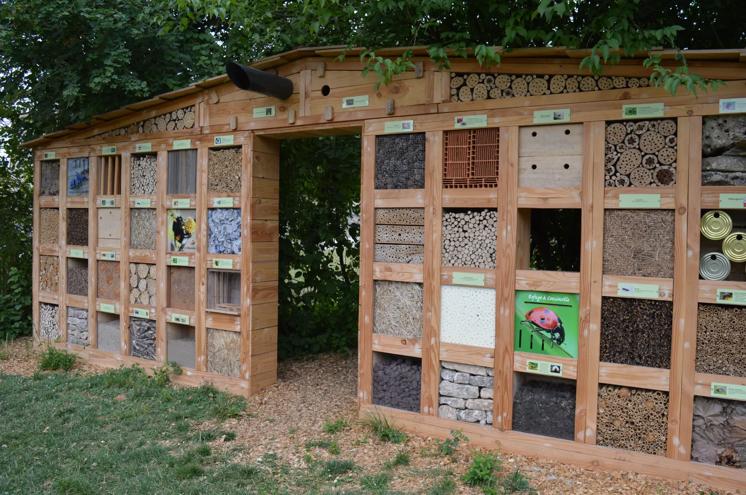 Image qui illustre: Jardin à insectes à Celles-sur-Belle - 0