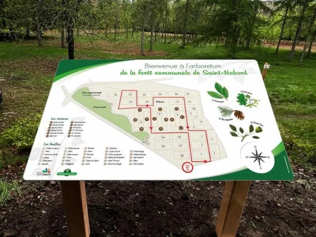 Image qui illustre: Arboretum De Saint-nabord