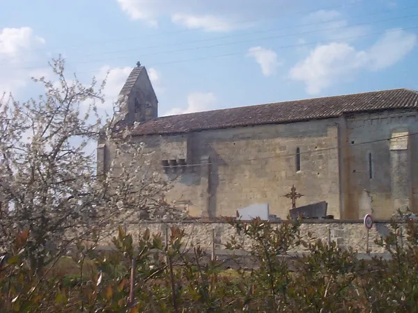 Image qui illustre: Eglise Saint-Pierre de Martres à Martres - 0