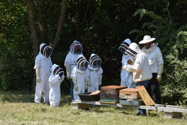 Image qui illustre: Atelier apiculture enfants et adultes