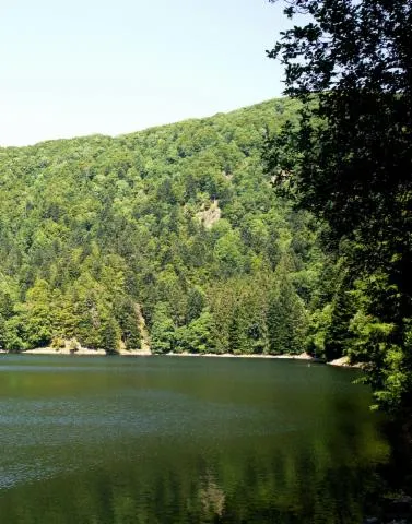 Image qui illustre: Lac de l'Altenweiher