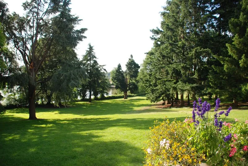 Image qui illustre: Parc du Domaine de la Roche à Cerizay - 0