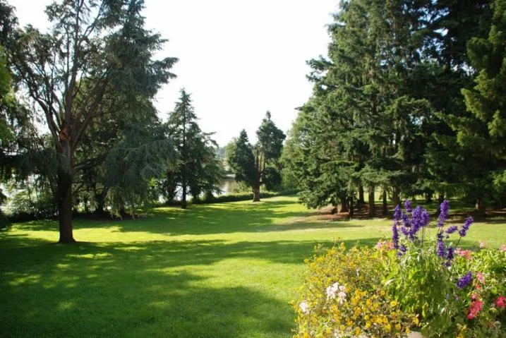 Image qui illustre: Parc du Domaine de la Roche