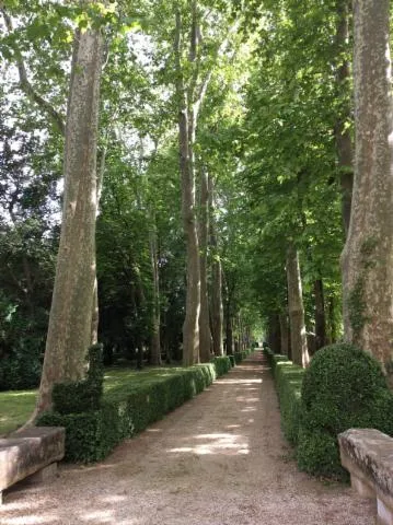 Image qui illustre: Visite libre du parc du Domaine de La Tour