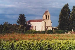 Image qui illustre: Eglise de Saint-Loubert à Saint-Loubert - 2