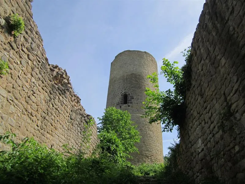 Image qui illustre: Château du Pflixbourg à Wintzenheim - 0