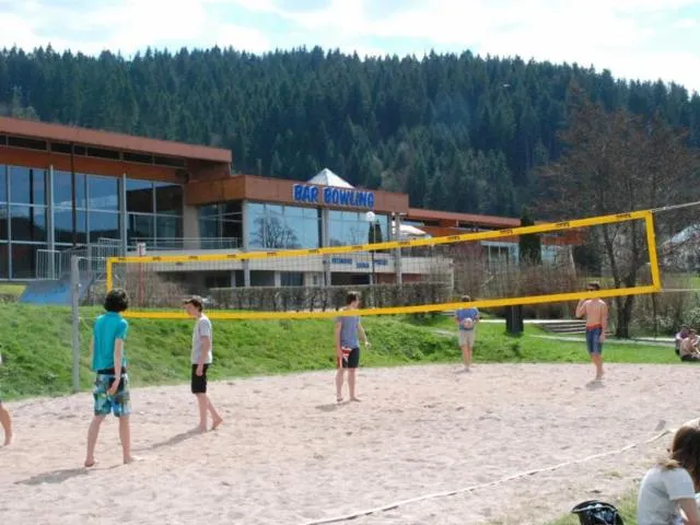Image qui illustre: Aire Beach Volley Gerarmer