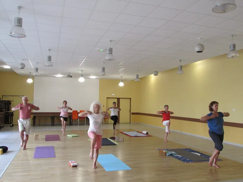 Image qui illustre: Yoga Ségur à Cours-de-Monségur - 1