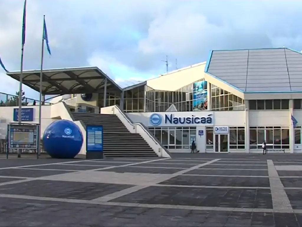 Image qui illustre: Nausicaa - Centre National De La Mer à Boulogne-sur-Mer - 2