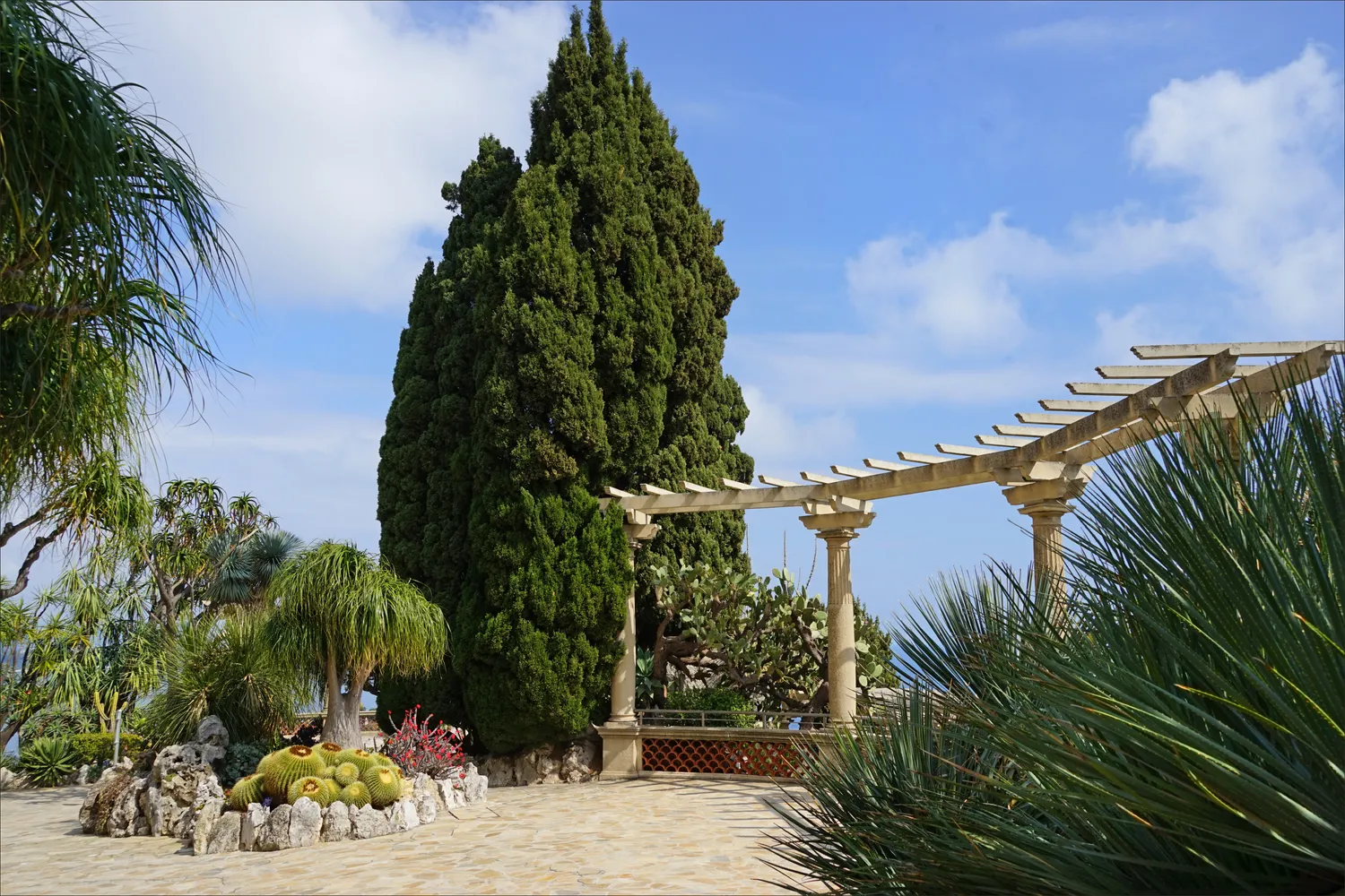 Image qui illustre: Jardin Exotique de Monaco à  - 2