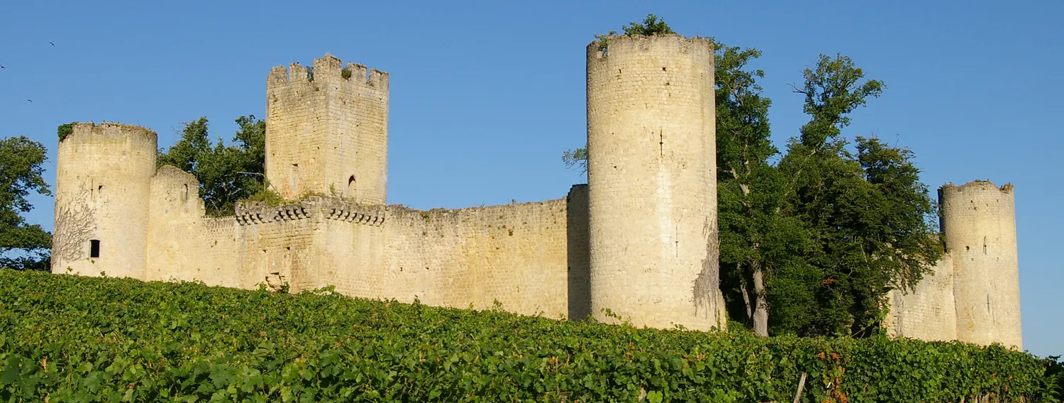 Image qui illustre: Château De Budos à Budos - 0