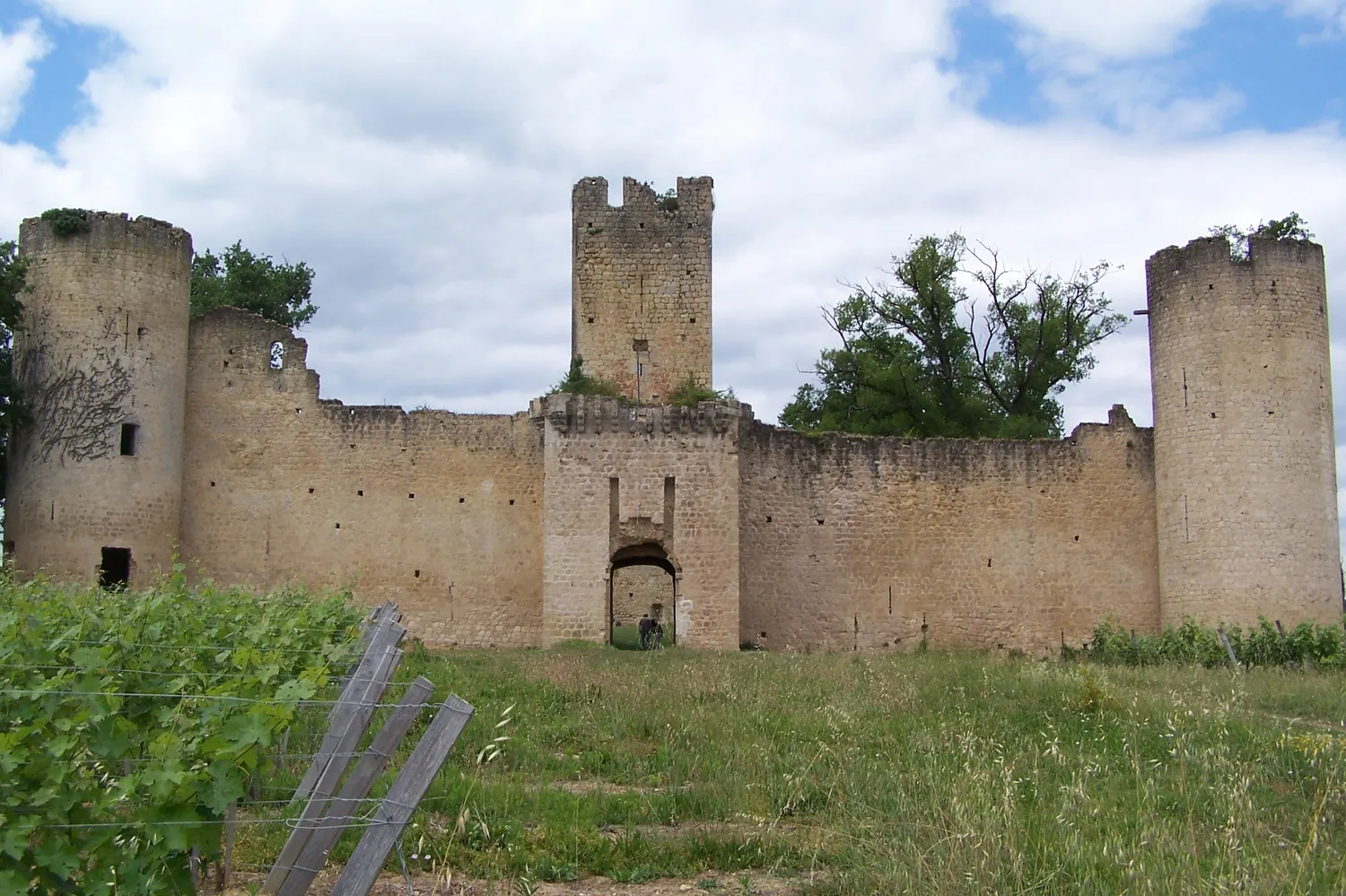 Image qui illustre: Château De Budos à Budos - 1