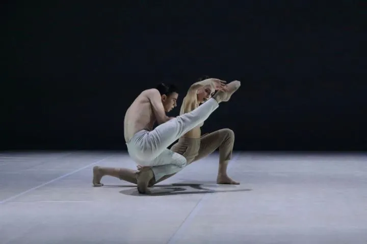 Image qui illustre: Cie Illicite Bayonne Et Ballet National Du Portugal