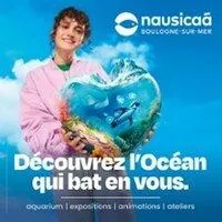 Image qui illustre: Nausicaá - Centre National de la Mer - Saison 2024