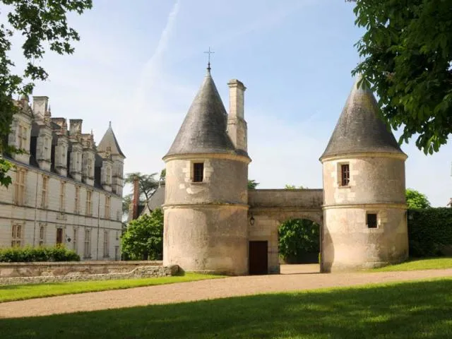 Image qui illustre: Château De Nitray