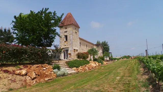 Image qui illustre: Château Tertre De Pezelin
