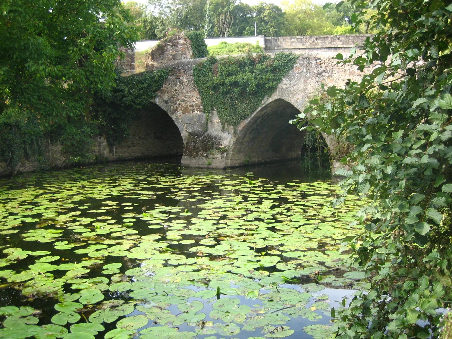 Image qui illustre: Pont Cadoré à Argentonnay - 1