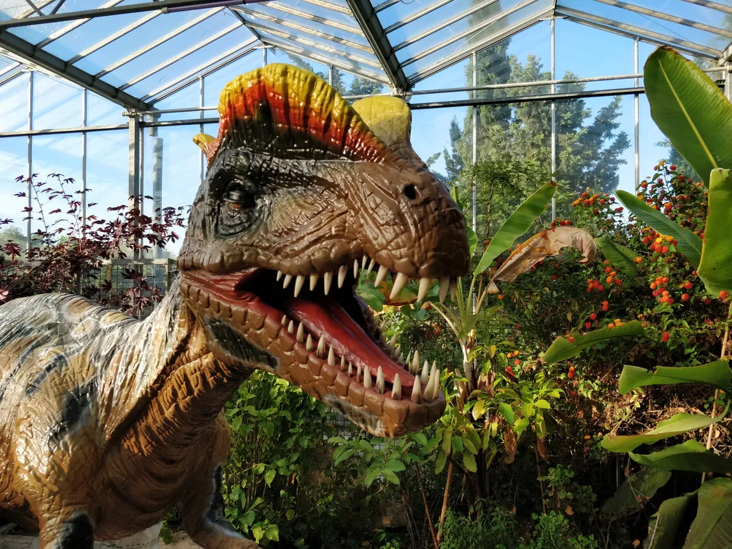 Image qui illustre: Dinosarium - Jurassic Room à Torreilles - 0