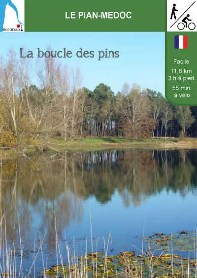 Image qui illustre: La Boucle Des Pins à Le Pian-Médoc - 0