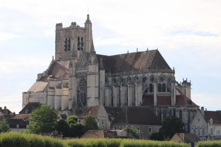 Image qui illustre: Cathédrale Saint-etienne