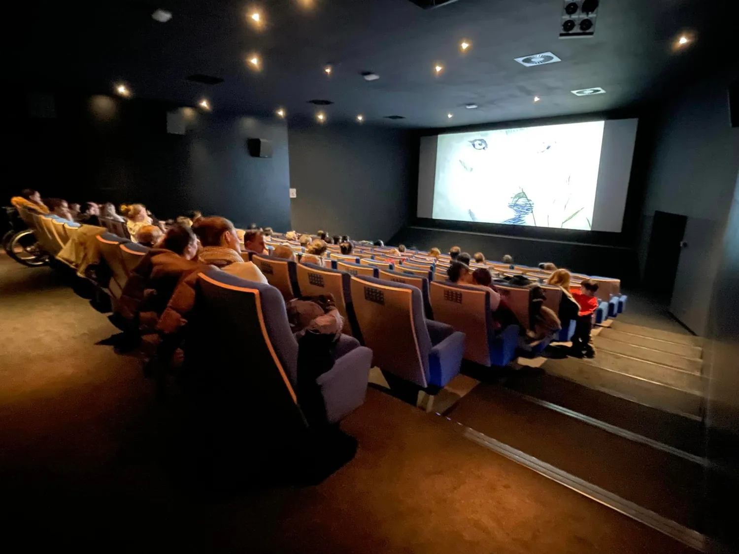 Image qui illustre: Cinéma La Coupole à Saint-Louis - 0
