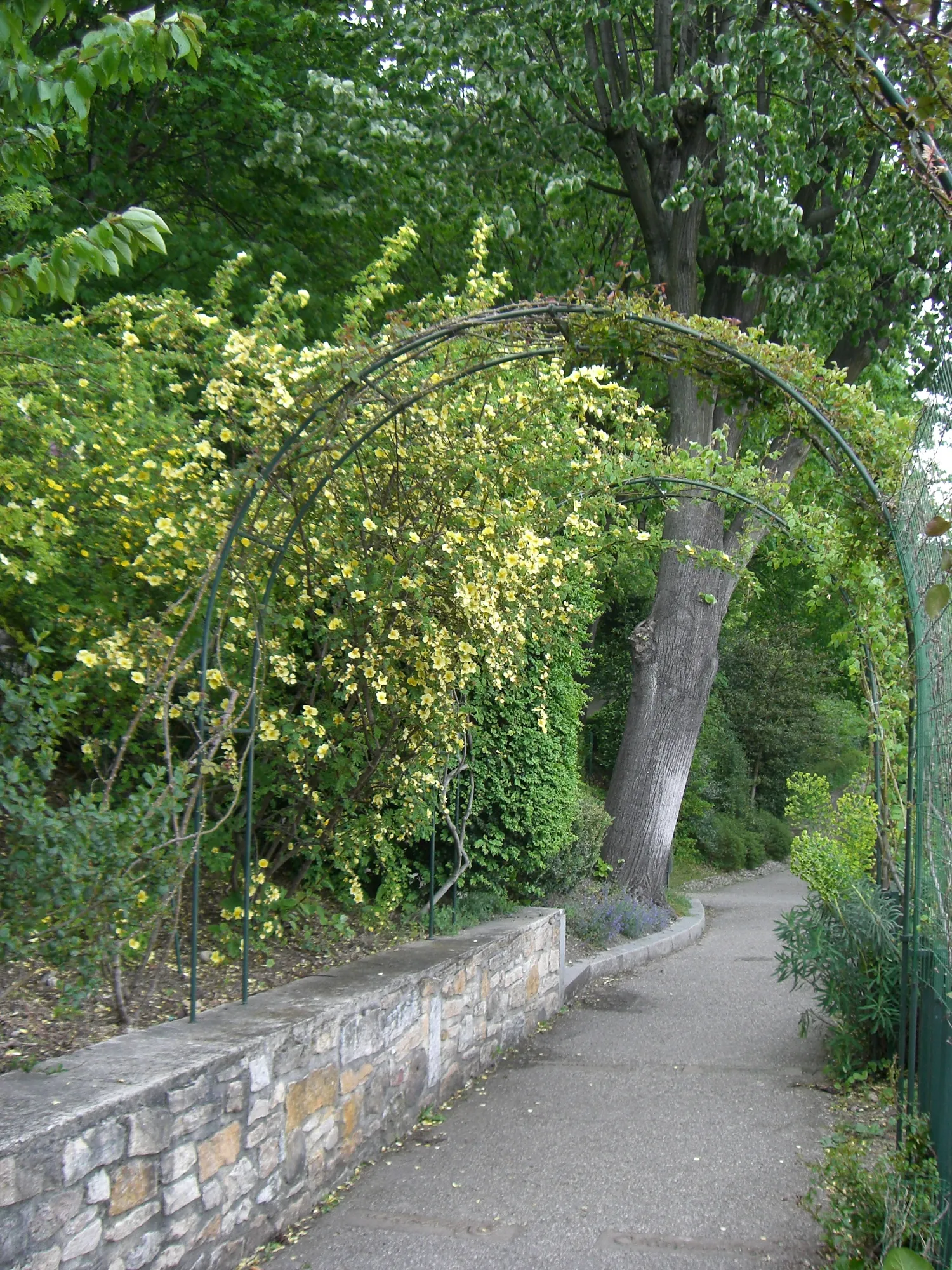 Image qui illustre: Jardin du Rosaire dans le Parc des Hauteurs à Lyon - 1