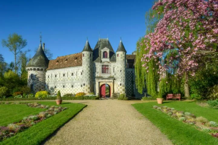 Image qui illustre: Visite guidée carte postale du château
