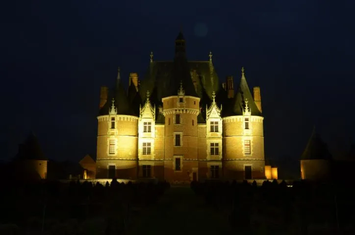 Image qui illustre: Projection et mise en lumière du château