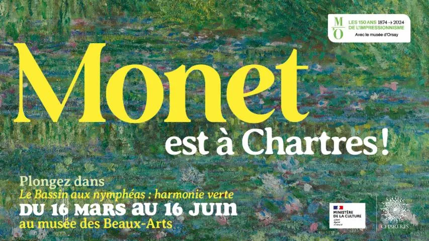 Image qui illustre: visite libre des collections du musée des beaux-arts et du tableau de Claude Monet  le Bassin aux nymphéas