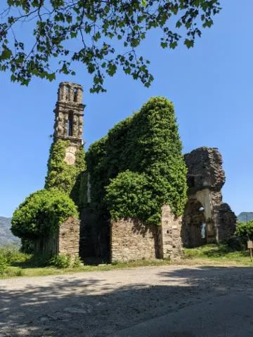 Image qui illustre: Ruines du couvent Saint-François d'Orezza 