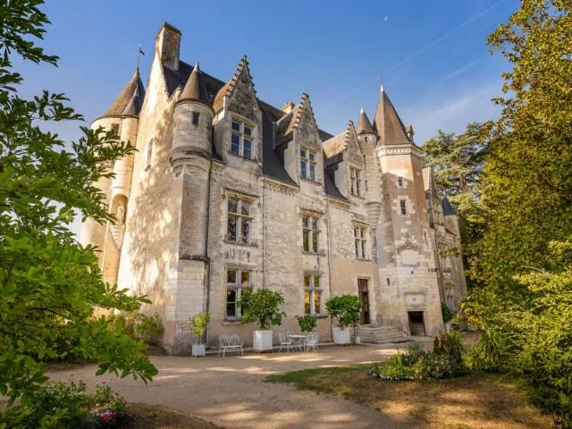 Image qui illustre: Château De Montrésor