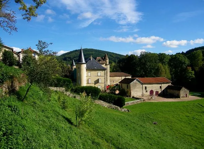 Image qui illustre: Château De Ferrières