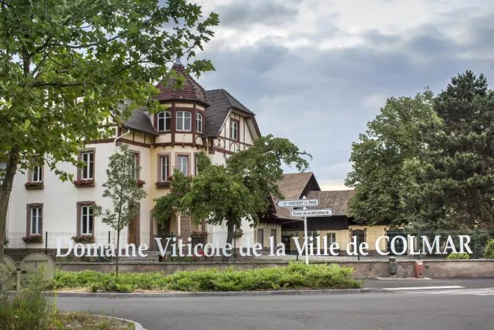 Image qui illustre: Domaine viticole de Colmar