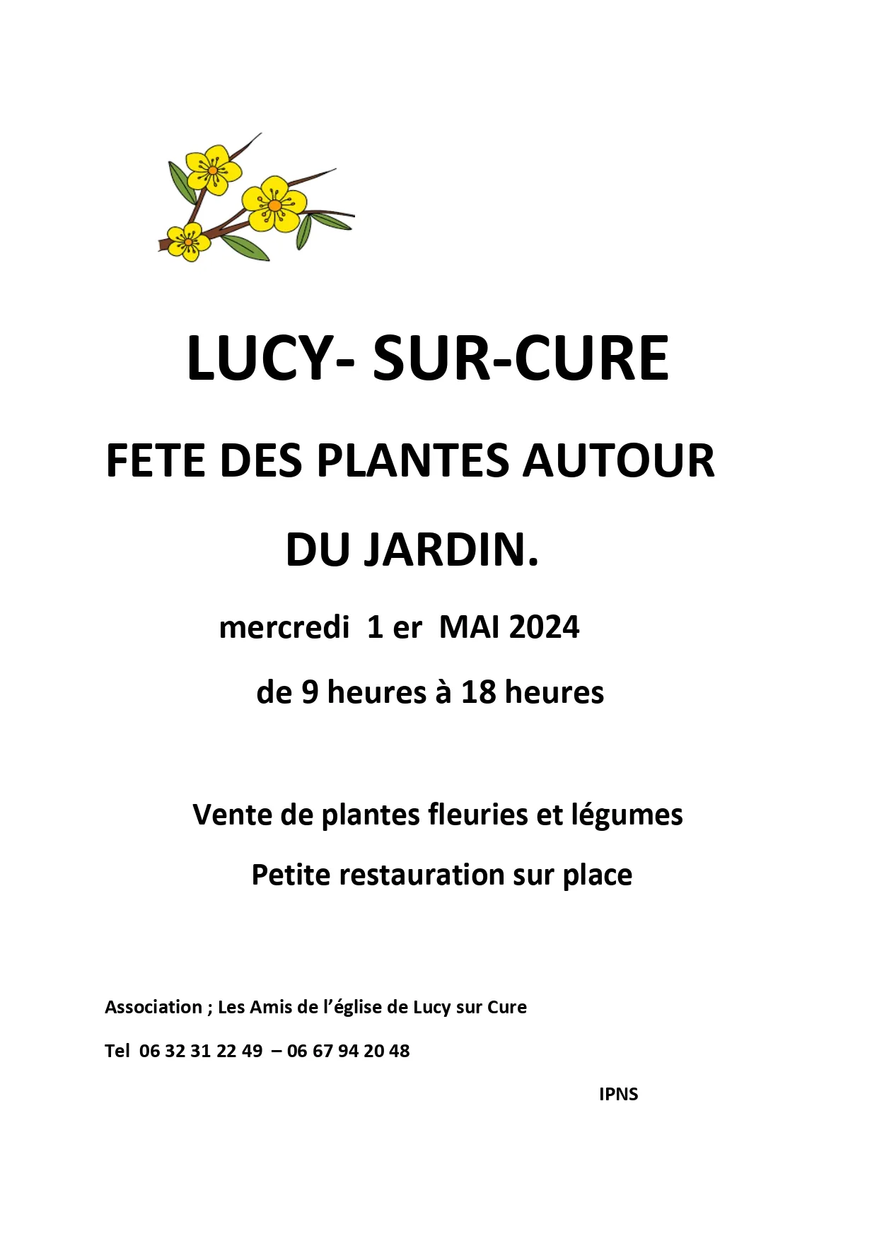 Image qui illustre: Fête des plantes autour du jardin à Lucy-sur-Cure - 0