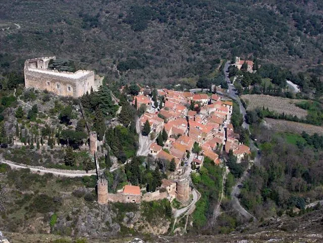 Image qui illustre: Chateau De Castelnou