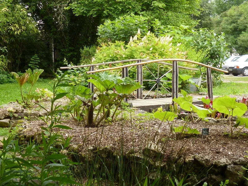 Image qui illustre: Jardin Botanique D'alaije à Brantôme en Périgord - 1