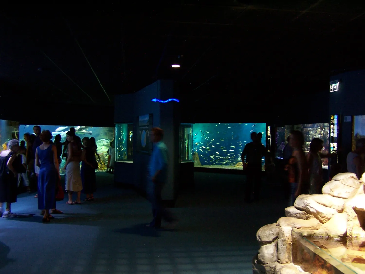 Image qui illustre: Aquarium La Rochelle à La Rochelle - 0