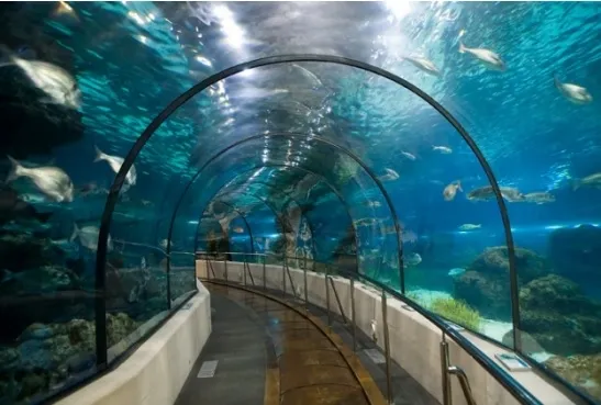 Image qui illustre: Aquarium La Rochelle à La Rochelle - 2