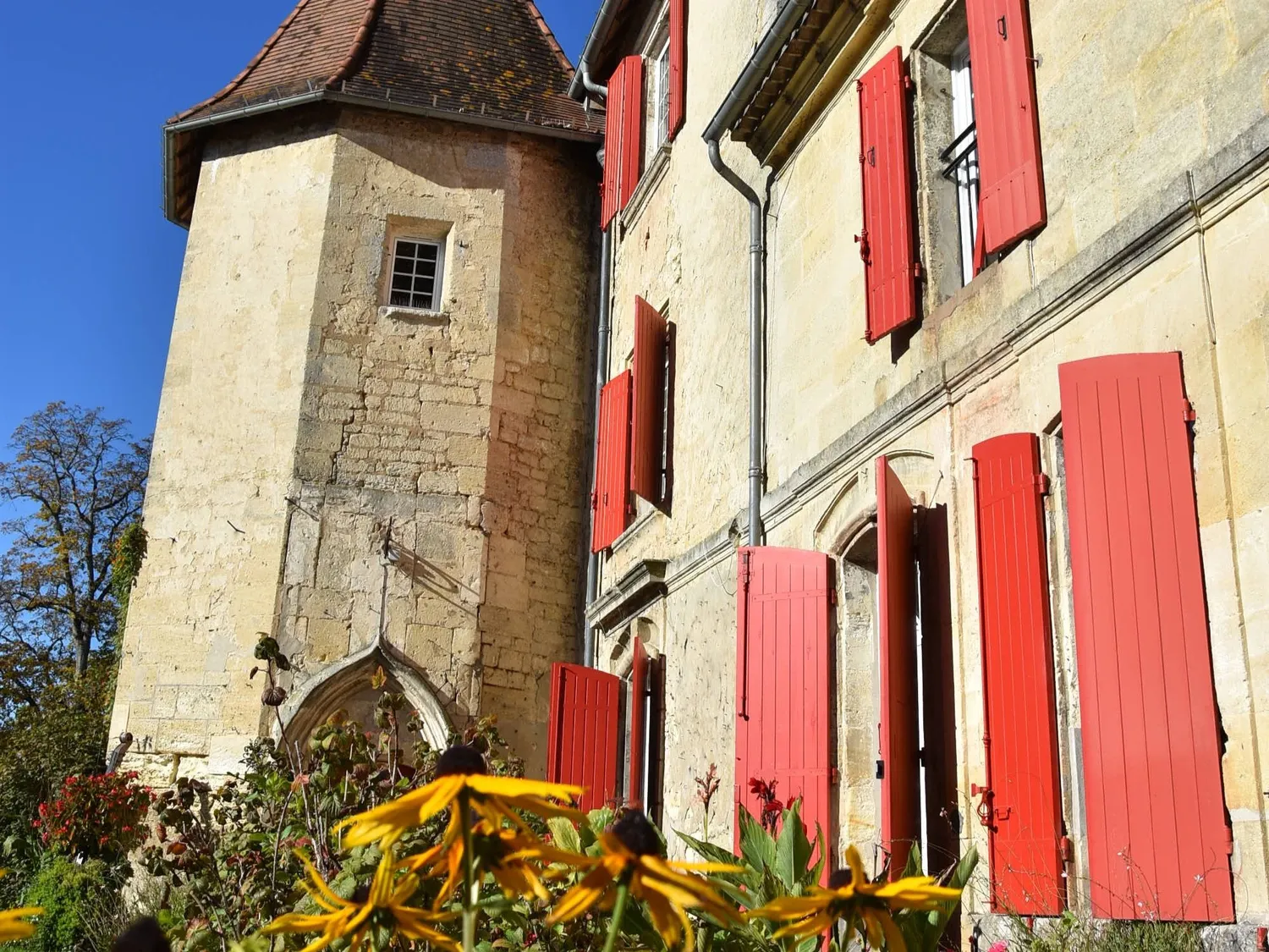 Image qui illustre: Le Château Robillard et son parc à Saint-André-de-Cubzac - 2