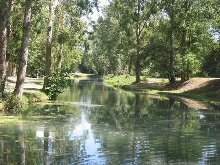 Image qui illustre: Lac De Saint Vidian à Martres-Tolosane - 0