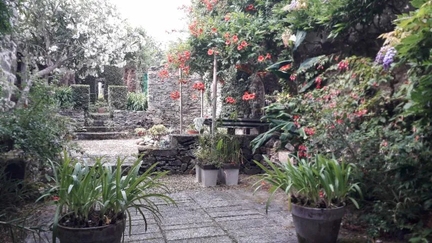 Image qui illustre: Visite commentée des jardins, dont le jardin de thé